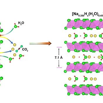 杨勇厦门大学的相关长尾关键词有哪些