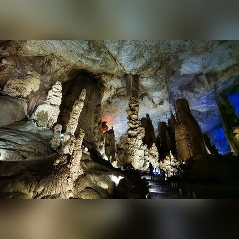 广州市发什么免费券啊最近