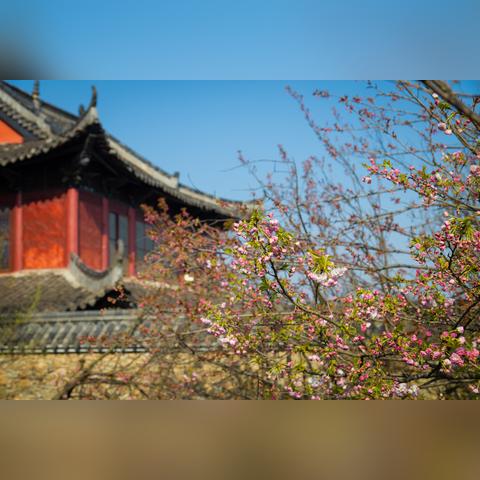 武汉市最陡的桥叫什么桥