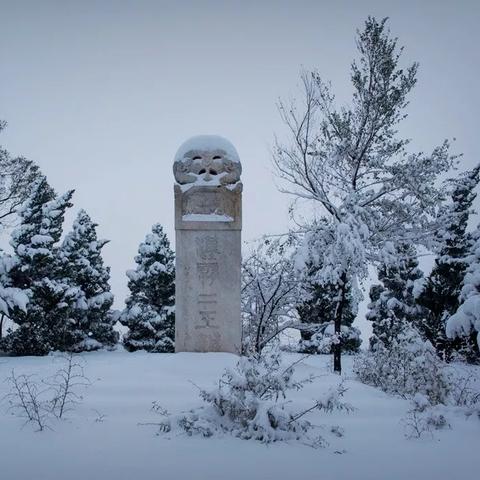 保定市霸王别鸡的长尾关键词有什么