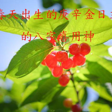 “八字喜用神找不准？这份指南让你豁然开朗”