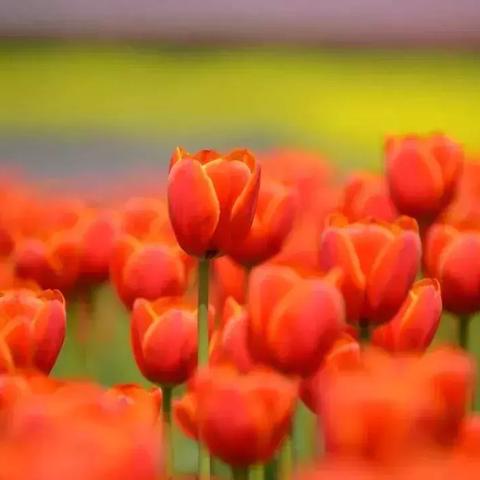 南通80后小吃铺图片长尾关键词有什么