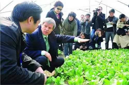 2019年农村赚钱新项目总有一个适合你！