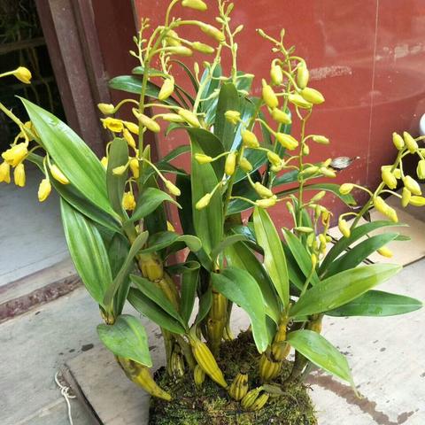 福建淹了泡水车怎么办？