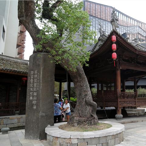 温州市中山公园建议进吗的长尾关键词有哪些