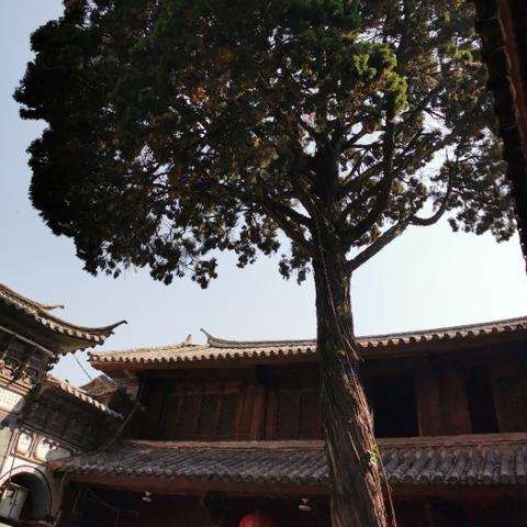 河南疫情清零多久了的相关长尾关键词有哪些