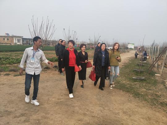 洛阳中小企业家协会走进孟津县平乐镇象庄我的农场帮扶大学生创业