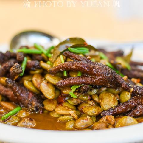 福建乌鱼养殖前景怎么样