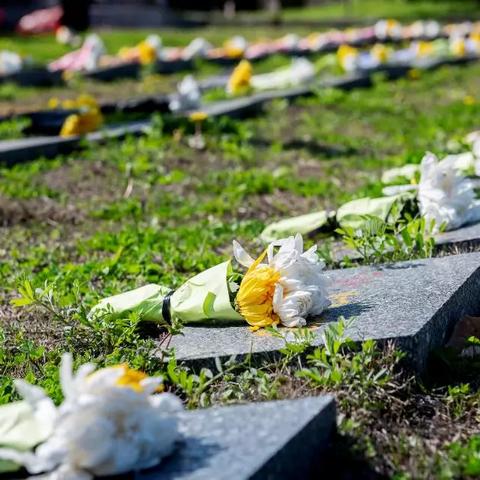 无锡市青龙山属于哪里