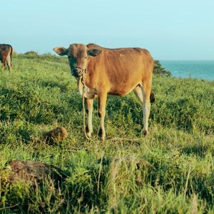 济南市七里山在什么路