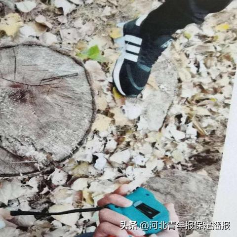 保定市南河堤公园的长尾关键词有哪些