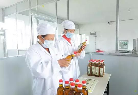 出彩女性·回乡创业亲故土一滴好油千两心