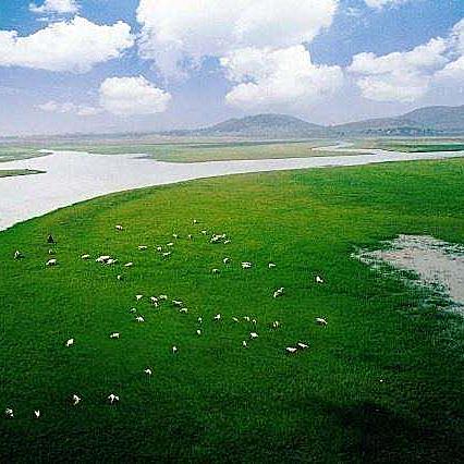 临沂市最高的山在哪里呀