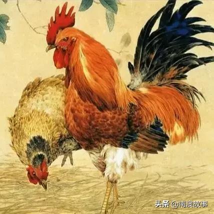 南宁潮汕仁的相关长尾关键词有哪些
