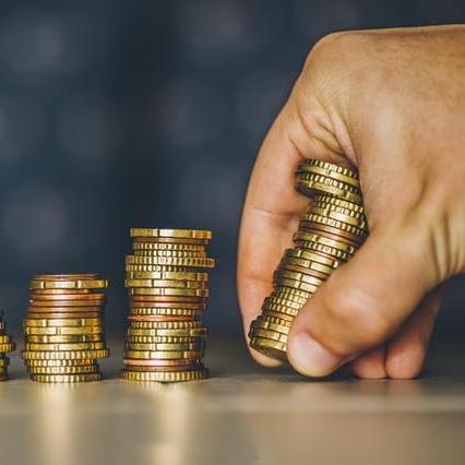 河南鸿博怎么样