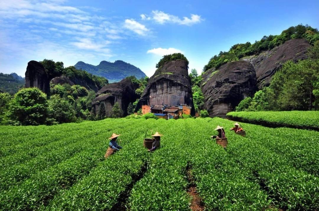 武夷山一日游必去景点,2021年10月1日武夷山景区有免费吗?