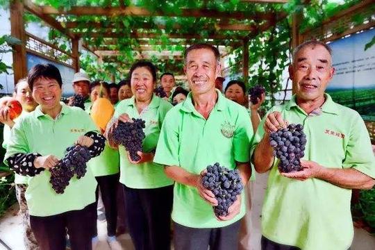 孙宝胜：9年时间打造天葡庄园，从京城建材商华丽变身葡萄庄主