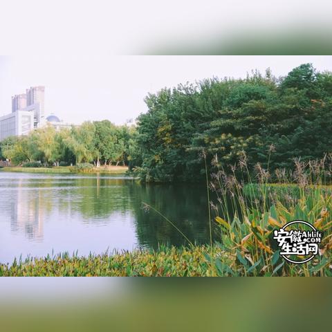 蜀山湖水面面积？