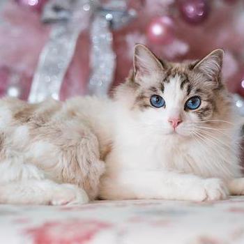 如何通过八字看有几个孩子_八字里面如何看几个孩子(八字看有几个孩子方法)