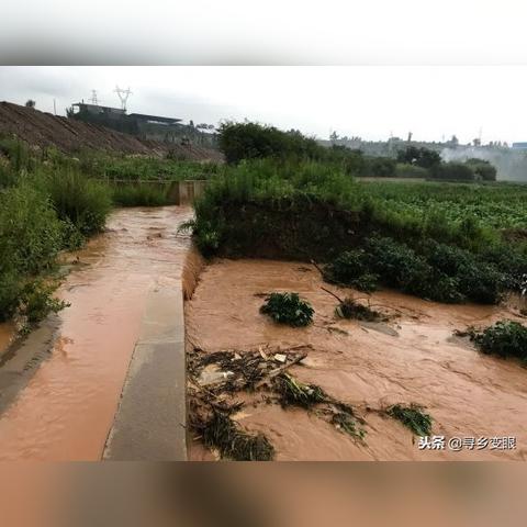 潍坊市昌邑多少面积