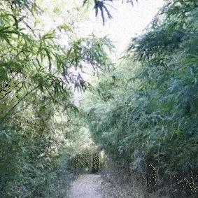 温州市拆迁三五底顶的长尾关键词有哪些