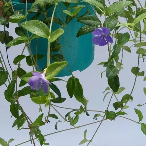 长春市哪里剪男士短头发