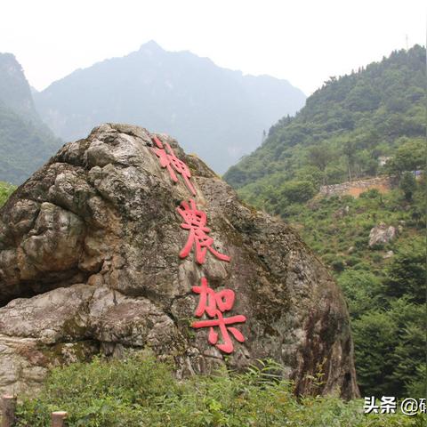 武汉市今年潮湿天气怎么样