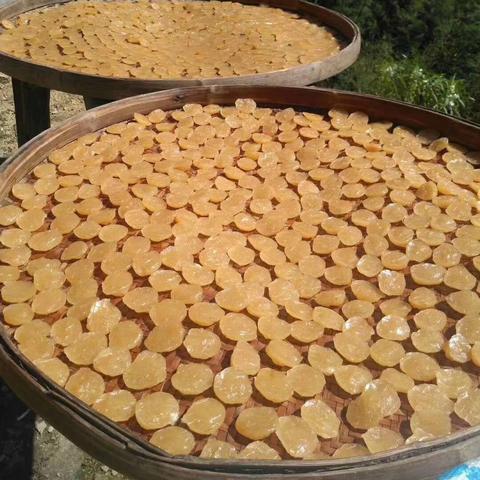 福建的海拔多少的相关长尾关键词有哪些