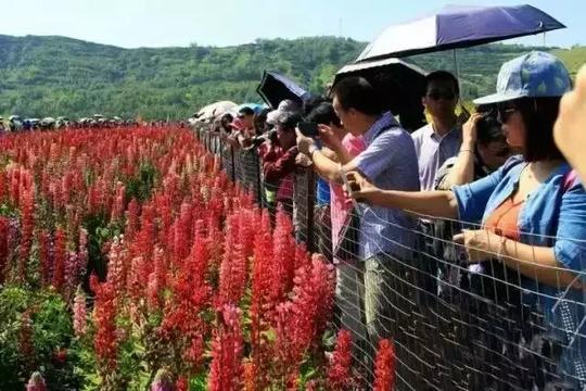 6亩地搞种植，赚了200万！网友直呼：原来这才是农业赚钱的精髓