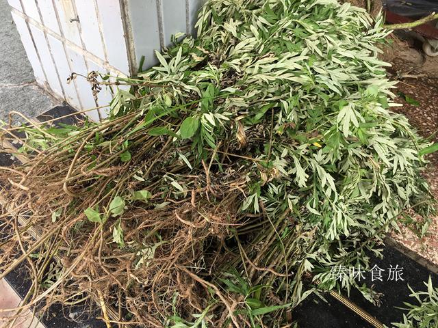 宝宝百天说说