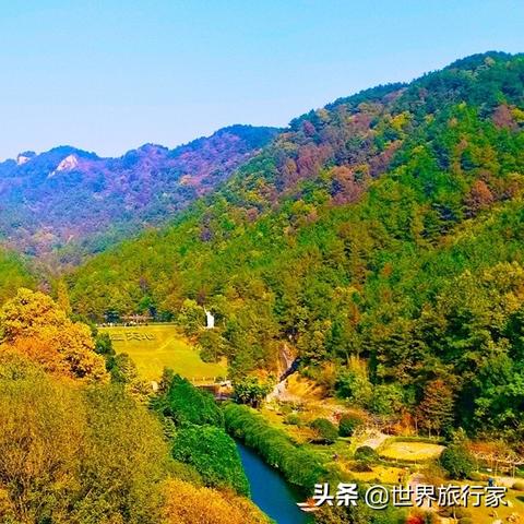 丛林玫瑰（丛林玫瑰，自然的魅力与生命的赞歌）