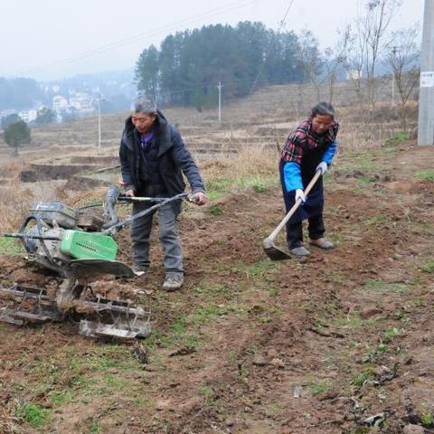 重庆脱贫怎么样