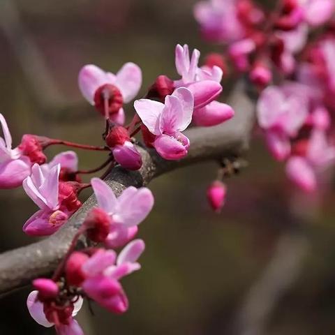 南宁市紫荆会所怎么样啊