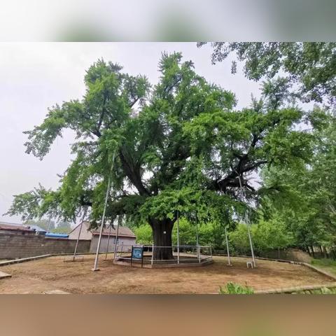 临沂市河东区哪个街道好