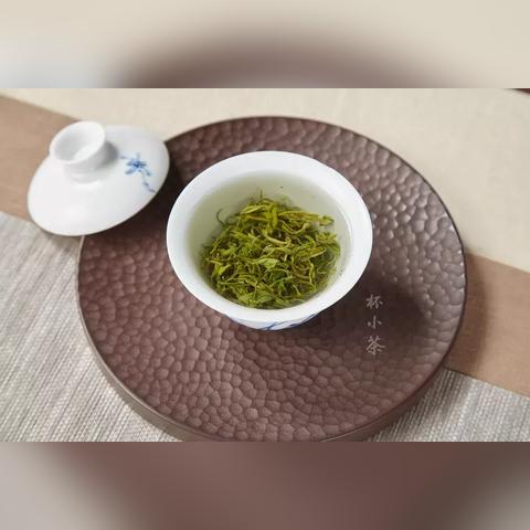 福建各地海拔高度？