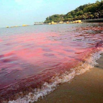 福建属于哪个海域