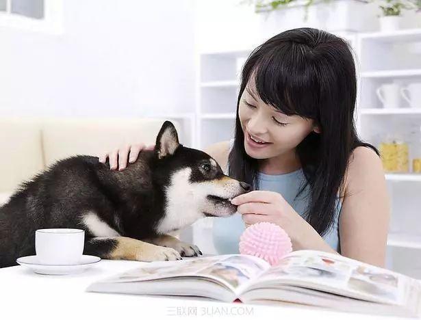 养宠物对治疗抑郁有帮助吗