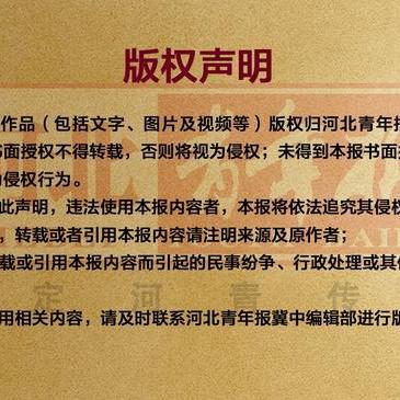 骑行到保定市多少公里