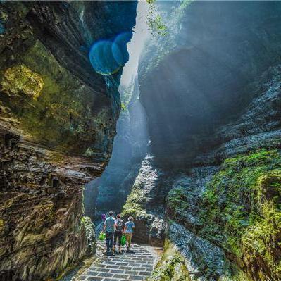 保定市草金批发的长尾关键词有什么