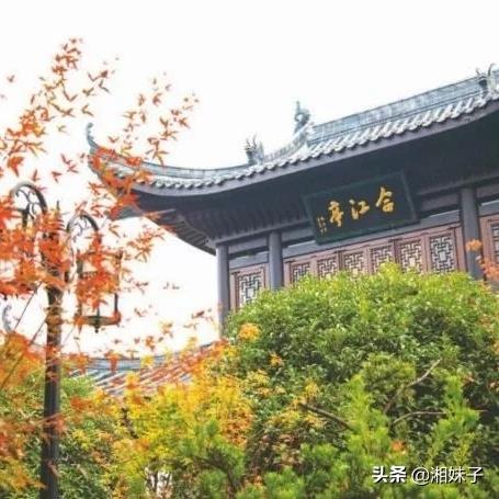 婿枕江山小说免费阅读的长尾关键词有哪些