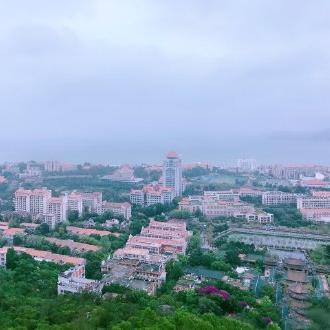 厦门市高三理科人数多少