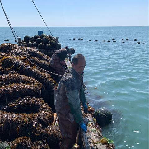 大连市什么牌水泥好