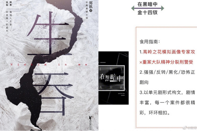 网剧在劫难逃什么时候上映