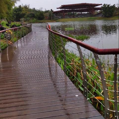 2025.11.17南宁今天空气质量指数怎么样