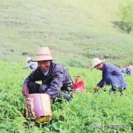 榆中县是兰州市的哪个区