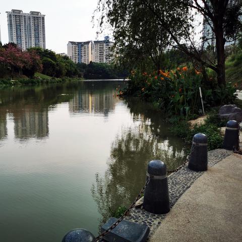 南宁市哪个公园可以钓鱼