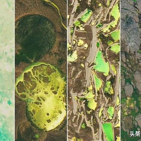 加拿大预测软件的长尾关键词有什么