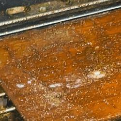 重庆大学城景点门票的长尾关键词有什么