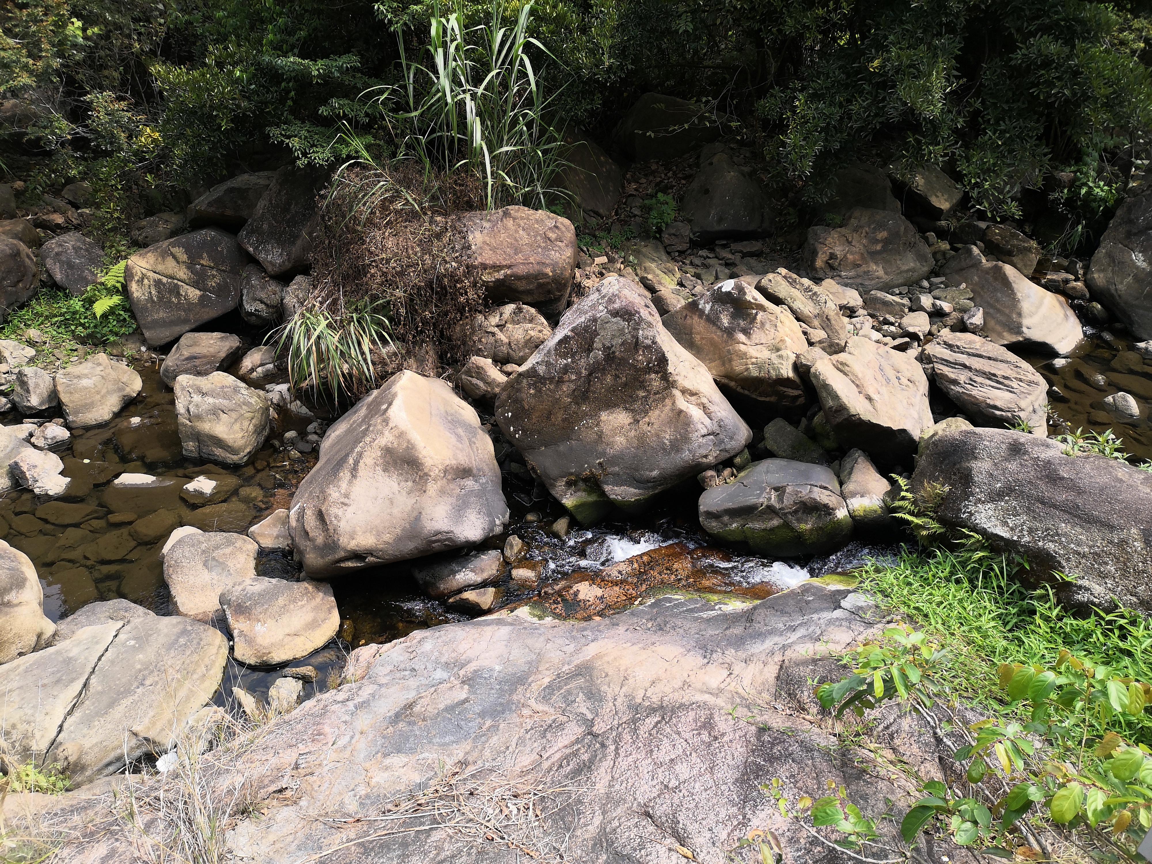 马峦山郊野公园