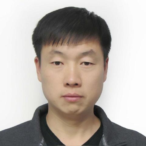 河南内乡领养猫的相关长尾关键词有哪些